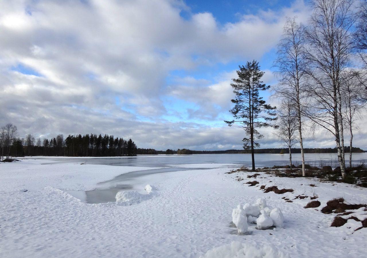 Tiiringolf Cottages Nilsiä Kültér fotó